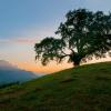 Paysages